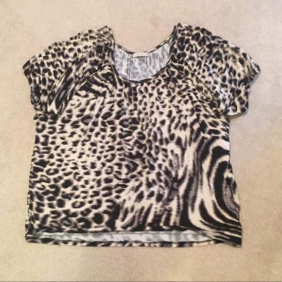 Tops - Leopard Print Top w/ Raglan Banded Short Sleeves